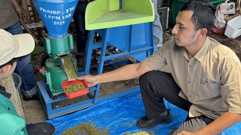 Green Concentrate Pellet, Terobosan USK Ciptakan Pakan Ternak Ekonomis dari Daun Kelor