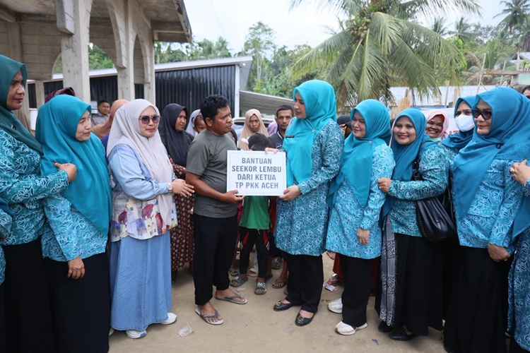 TP PKK Aceh Serahkan Tiga Sapi Sapi Meugang di Sawang Aceh Utara
