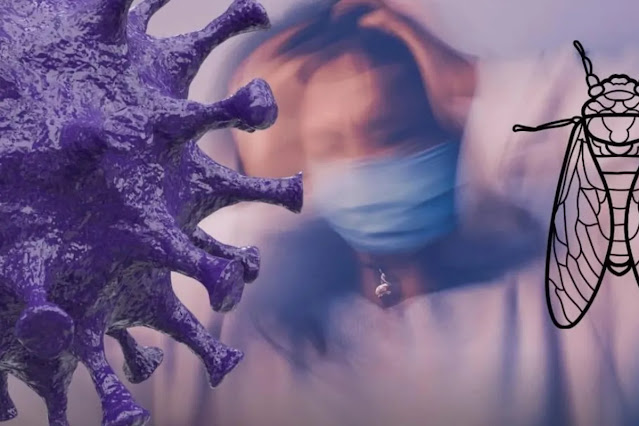 Apa Itu Covid Cicada? Virus yang Telah Menyebar Lebih ke 23 Negara