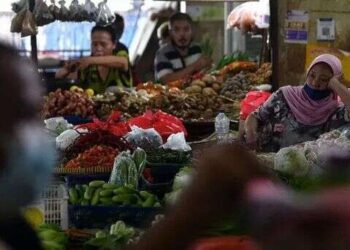 Minyak Goreng Mahal, Solar Langka, Pengamat: Pemerintah Pelit, Kata Sri Mulyani Indonesia Kelebihan Uang