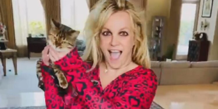 Ⓒ Hak cipta foto di atas dikembalikan sesungguhnya kepada sang pemilik foto Ⓒ Hak cipta foto di atas dikembalikan sesungguhnya kepada pemilik foto