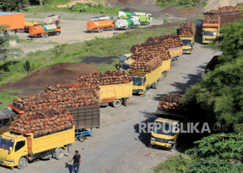 Sejumlah truk pengangkut Tanda Buah Segar (TBS) kelapa sawit mengantre untuk pembongkaran di salah satu pabrik minyak kelapa sawit milik PT.Karya Tanah Subur (KTS) Desa Padang Sikabu, Kaway XVI, Aceh Barat, Aceh, Selasa (17/5/2022).
