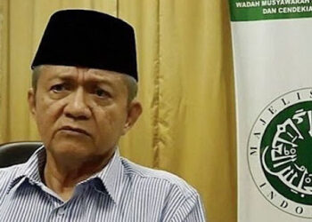 Wakil Ketua Umum MUI Anwar Abbas. FOTO/Net
