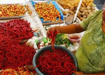 Harga Cabai Naik, PSI Minta Warga Jakarta Tanam Sendiri