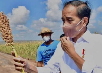 Jokowi Disebut Masinton Bebal, Rocky: Batin Jokowi Pasti Terluka Itu