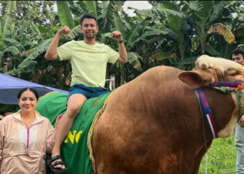 Foto sapi kurban milik Raffi Ahmad dan Nagita Slavina. FOTO/Instagram