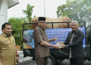 Gubernur Nova Serahkan Sapi Qurban Presiden untuk Kabupaten Aceh Tengah