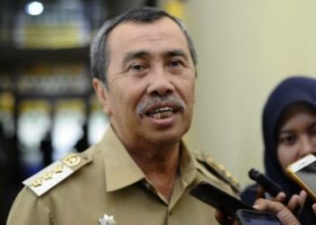 Gubernur Riau Syamsuar akan kirimi surat kepada Presiden Jokowi terkait anjloknya harga sawit. FOTO/Net
