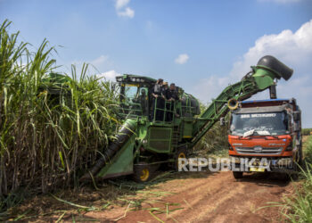 Ekonomi Kuartal Ii Positif, Gubernur Jatim Dan Jateng Apresiasi Kontribusi Pertanian