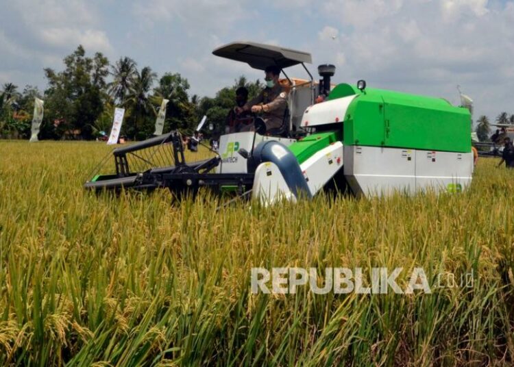 Ekonomi Di Lampung Tumbuh Positif, Sektor Pertanian Jadi Penyanggahnya