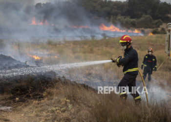 Kebakaran Hutan Meluas Paksa Evakuasi Ribuan Penduduk Di Prancis