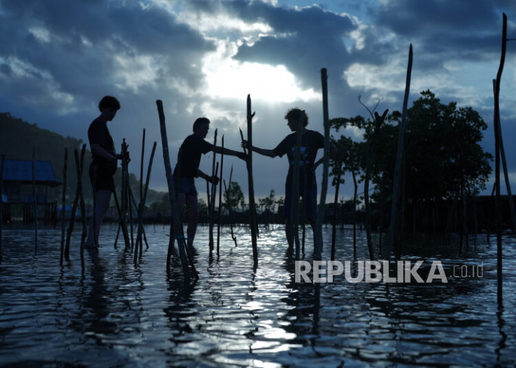 Keberhasilan Rehabilitasi Mangrove Ri Dapatkan Perhatian Negara G20