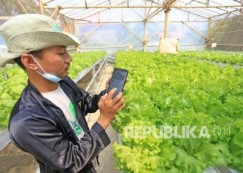Fao Tegaskan Dukung Pengembangan Pertanian Digital Di Indonesia