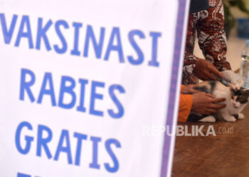 Hari Rabies Sedunia, Kementan Gelar Vaksinasi Hewan Gratis Di Bali