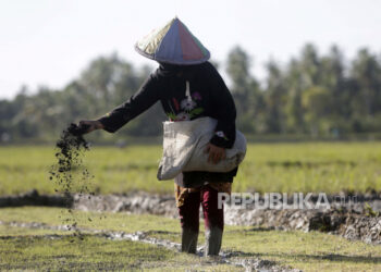 Pupuk Indonesia: Petani Masih Boros Gunakan Pupuk