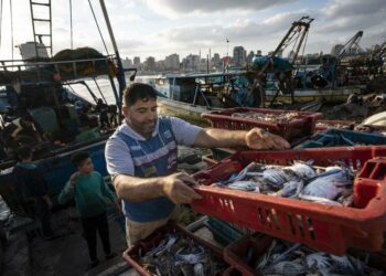 Peternakan Ikan Gaza Mulai Produksi Untuk Pasar Lokal Dan Tepi Barat