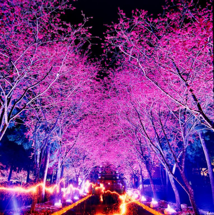 Destinasi wisata pilihan di Taiwan. (Istimewa)
