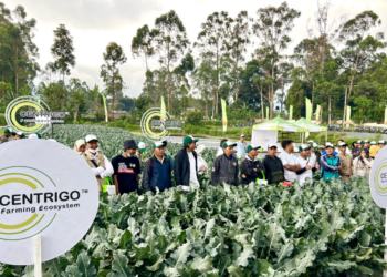 Syngenta mencapai tonggak penting dalam upaya berkelanjutan untuk mendukung petani di Indonesia, melalui pembentukan Ekosistem Pertanian CENTRIGO.