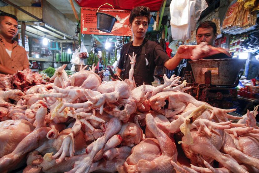 Ini Solusi Pemerintah untuk Mengatasi Anjloknya Harga Ayam