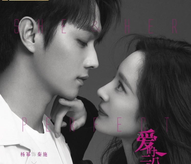 Sinopsis  Drama China She and Her Perfect Husband, Menikah Demi Karier