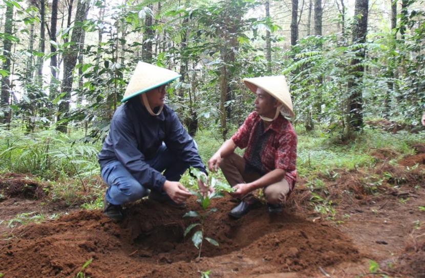 Head of Corporate Communications Astra Boy Kelana Soebroto (kiri), bersama penggerak Kampung Berseri Astra (KBA) Suntenjaya Gunawan Azhari (kanan) saat melakukan prosesi penanaman pohon di kaki Gunung Bukit Tunggul, Bandung Barat, pada Workshop Lingkungan 2022, Sabtu (26/11/2022).