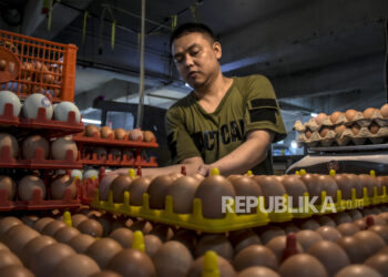 Pedagang menata telur ayam di lapaknya di Pasar Kosambi, Kota Bandung, Senin (7/11/2022). Bank Indonesia melalui Survei Pemantauan Harga, inflasi pada pekan pertama November 2022 diperkirakan sebesar 0,08 persen secara bulanan (month-to-month/mtm). Komoditas utama penyumbang inflasi November 2022 sampai dengan minggu pertama yaitu telur ayam sebesar 0,02 persen mtm dan beras sebesar 0,01 persen mtm. Republika/Abdan Syakura