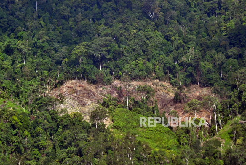 Uni Eropa Sahkan UU Rantai Pasok dan Deforestasi, Pasar Ekspor Indonesia Dinilai Terancam. Foto:  Foto kawasan hutan yang rusak akibat pembukaan lahan di perbukitan Sungai Pisang, Bungus, Padang, Sumatera Barat, Kamis (3/8). Data terakhir Wahana Lingkungan Hidup (Walhi) Sumatera Barat,  tutupan hutan provinsi itu mengalami deforestasi atau kehilangan hutan seluas 81.830 hektare, tersisa yakni 1,683 juta hektare dengan laju kehilangan hutan sebesar 20.457 hektare per tahun. ANTARA FOTO/Iggoy el Fitra/aww/17.