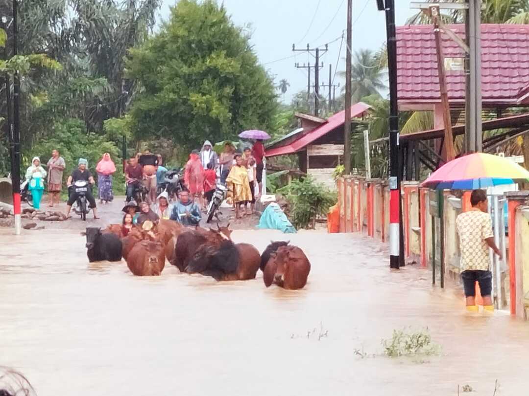 Akibat intensitas hujan yang tinggi, sejumlah gampong di Kecamatan Kuta Makmur, Aceh Utara, wilayah hukum Polres Lhokseumawe terendam banjir pada Rabu (21/12/2022). FOTO/HAI/Azhari