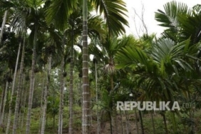 Sambut 1 Abad NU, PWNU Aceh Tanam Ribuan Pohon Cegah Pemanasan Global 