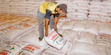 Ratusan Ribu Ton Pupuk Subsidi Siap Penuhi Kebutuhan Petani di Wilayah Barat