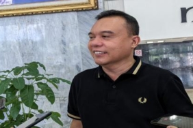 Wakil Ketua DPR Dorong Pemerintah Pelajari Timbulnya Kembali Gagal Ginjal Akut