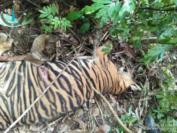Ⓒ Hak cipta foto di atas dikembalikan sesungguhnya kepada pemilik foto Ⓒ Hak cipta foto di atas dikembalikan sesungguhnya kepada pemilik foto