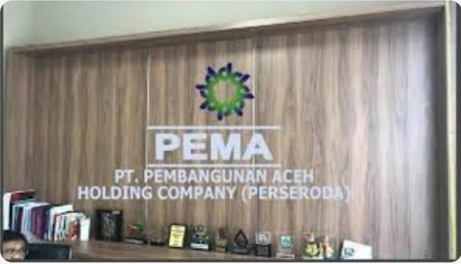 Logo PT Pembangunan Aceh. FOTO/Dok. PT Pema