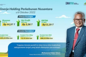 Sepanjang 2022, Holding PTPN III Bukukan Laba Bersih Rp 5,51 triliun