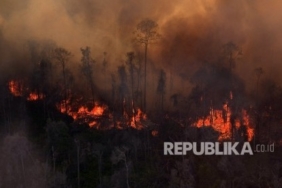 23 Orang Meninggal Akibat Kebakaran Hutan di Chile