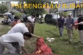 Viral Video Kader PSI Bengkulu Mundur dan Bakar Atribut Partai