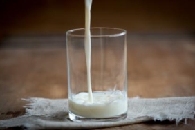 Selain Telur, Susu Termasuk Sumber Protein Hewani yang Paling Kaya Zat Gizi