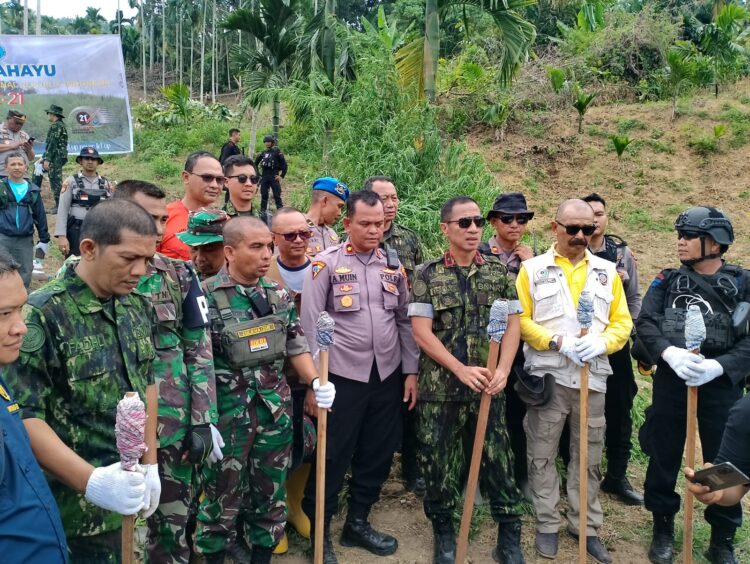 Personel Polres Lhokseumawe bersama Badan Narkotika Nasional (BNN) dan tim gabungan musnahkan ladang ganja seluas 4 hektar di Desa Teupin Reusep, Kecamatan Sawang, Aceh Utara, wilayah hukum Polres Lhokseumawe, Rabu (8/3/2023). FOTO/Dok. Polres Lhokseumawe