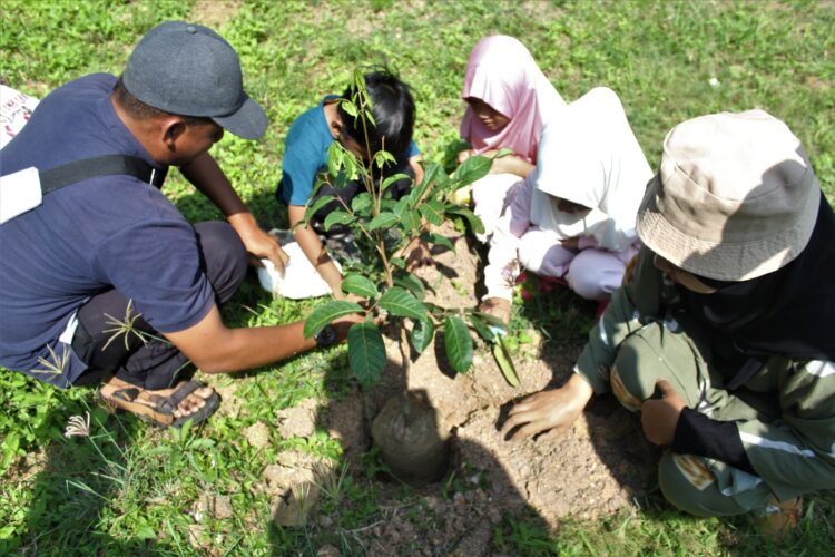 Siswa AINS Tanam Pohon di Pekarangan Sekolah