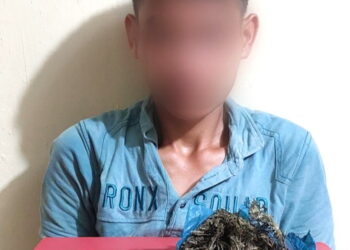 Polisi Tangkap Pengedar Ganja  Yang Mencoba Melarikan Diri