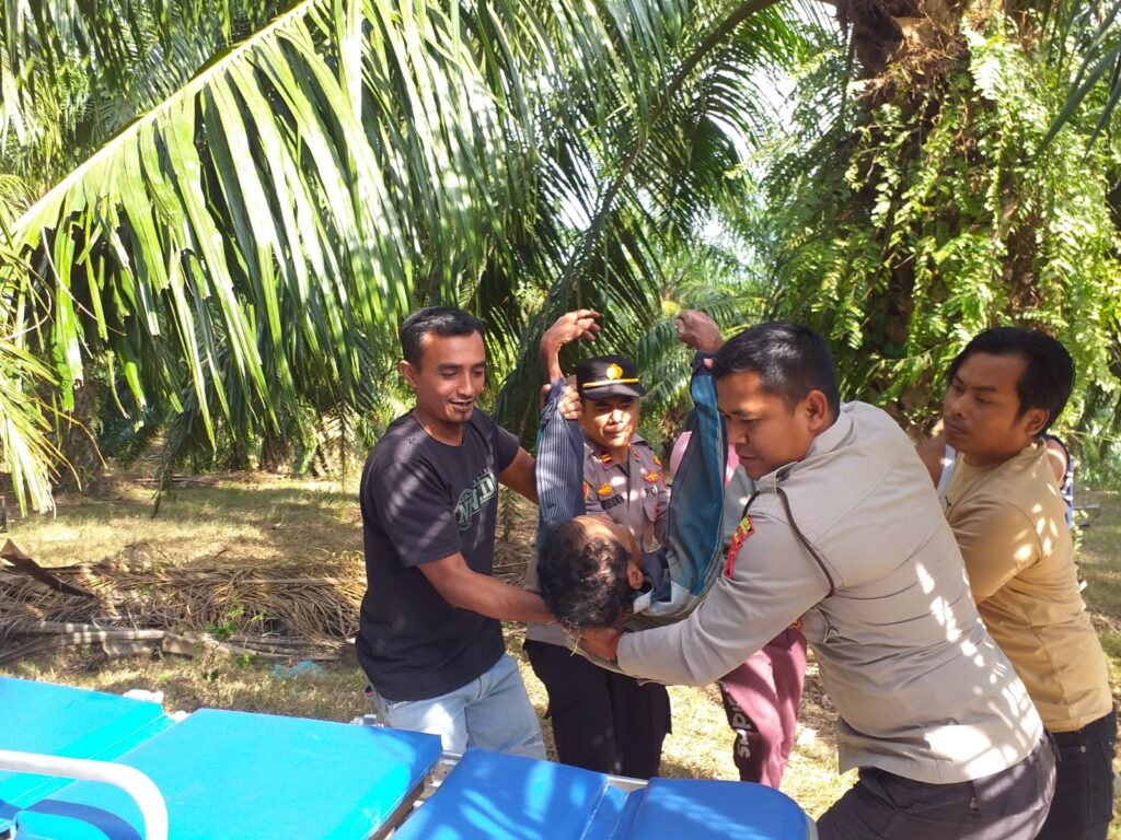 Personel Polsek Blang Mangat menemukan seorang pria tak sadarkan diri di kebun sawit di Desa Rayeuk Kareung, Kecamatan Blang Mangat, Kota Lhokseumawe, Rabu (5/4/2023) sekira pukul 14.40 WIB. FOTO/Net