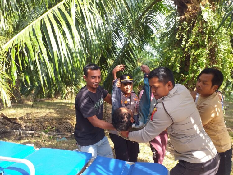 Personel Polsek Blang Mangat menemukan seorang pria tak sadarkan diri di kebun sawit di Desa Rayeuk Kareung, Kecamatan Blang Mangat, Kota Lhokseumawe, Rabu (5/4/2023) sekira pukul 14.40 WIB. FOTO/Net