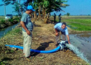 Antisipasi Gagal Panen, Pemkab Aceh Barat Sarankan Petani Pompanisasi