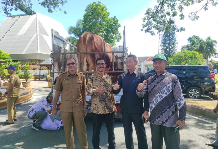 Aceh Singkil Terima Sapi Kurban dari Presiden Jokowi
