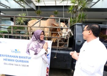 Pemko Terima Sapi Kurban dari PT Taspen Banda Aceh, Bakri Siddiq: “Akan Dibagikan kepada Masyarakat Kurang Mampu”