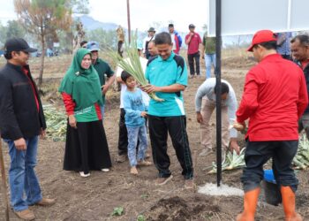 Muksalmina, selaku Plt . Kacabdisdik Wilayah Kabupaten Aceh Tengah, melaksanakan kegiatan Ketahanan Pangan menanam Nanas di SMK 2 Takengon. Kegiatan ini di ikuti oleh warga sekolah yang berada di Kabupaten Aceh Tengah baik dari SMK dan SMA yang terdiri dari 25 Sekolah. FOTO/Dok. Disdik Aceh