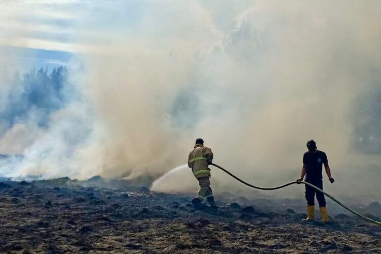 Cuaca Panas Perparah Tiga Hektar Lahan Sekolah Poltekpel Malahayati yang Terbakar