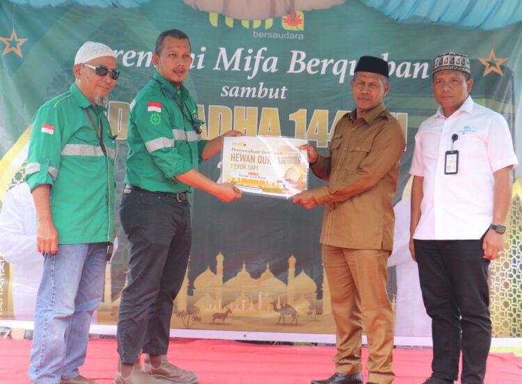 PT Mifa Sediakan 80 Ekor Hewan Qurban Untuk Fakir Miskin