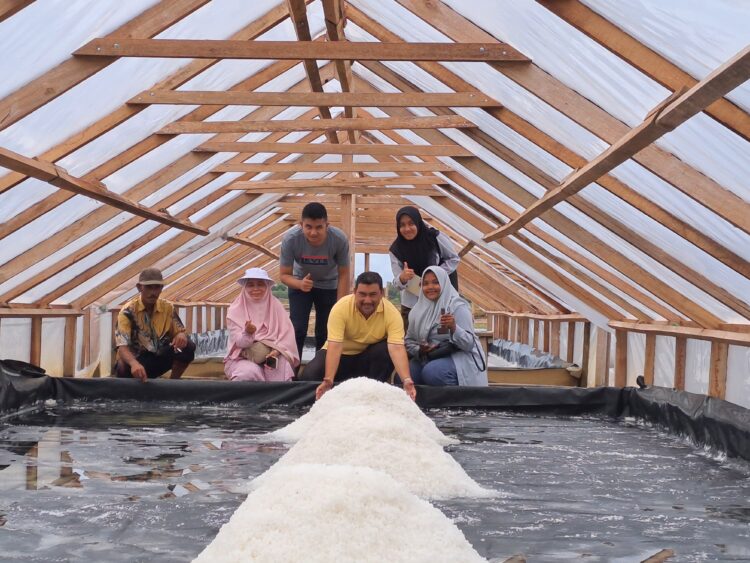 Kelompok Usaha Garam Rakyat Mandiri Desa Matang Tunong, Kecamatan Lapang, melakukan panen garam, Selasa (22/8/2023). FOTO/HAI/Azhari