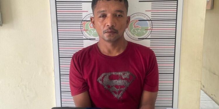 Ⓒ Hak cipta foto di atas dikembalikan sesungguhnya kepada sang pemilik foto Ⓒ Hak cipta foto di atas dikembalikan sesungguhnya kepada pemilik foto